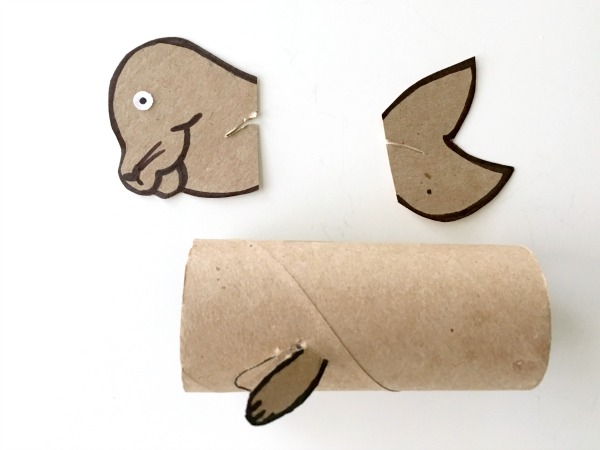 Seal toilet paper roll craft for kids