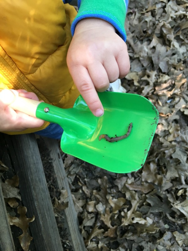 Tips for composting with kids