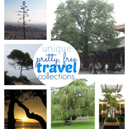 Unique travel collections