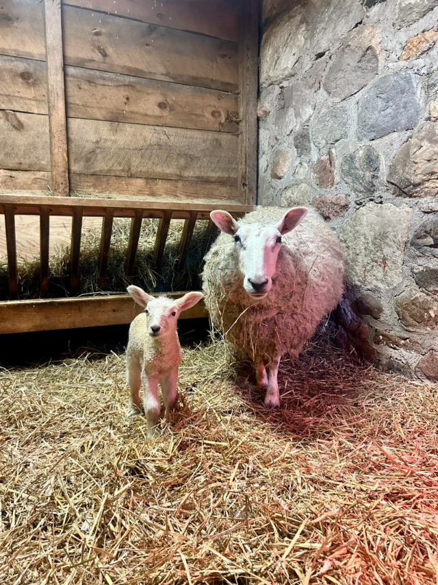 Riverdale farm in toronto, canada
