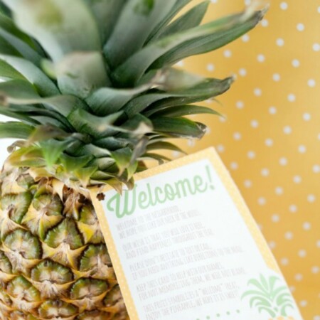Pineapple crafts