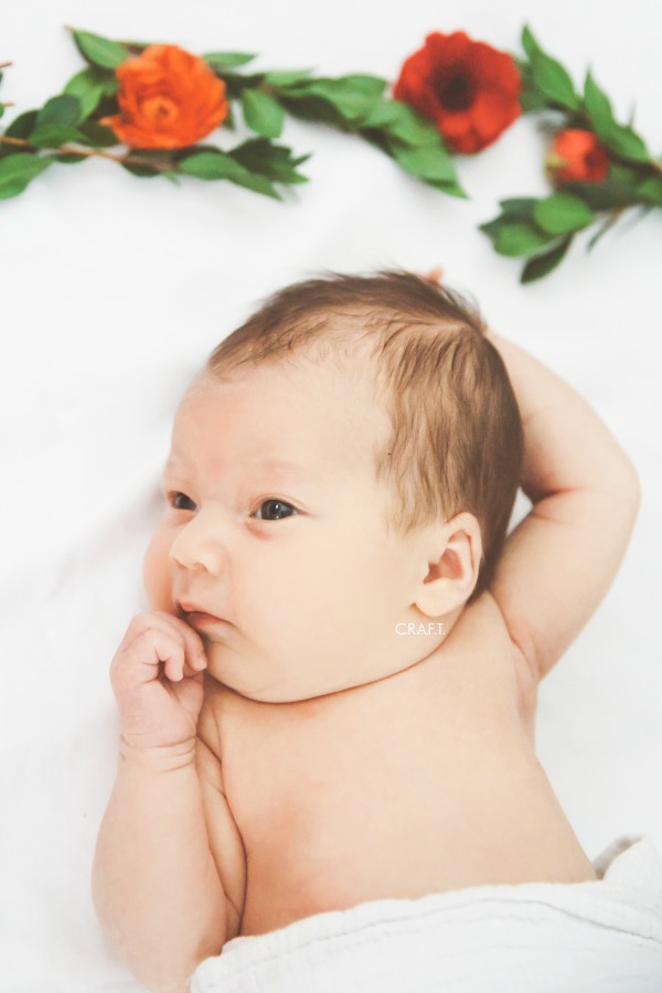 Newborn pictures of Amelia