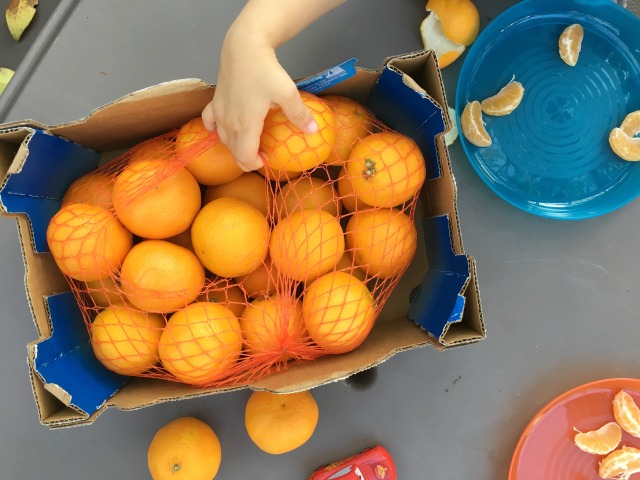Wonderful Halo oranges