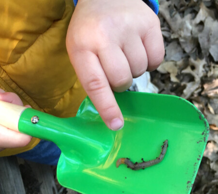 Composting 101 with kids
