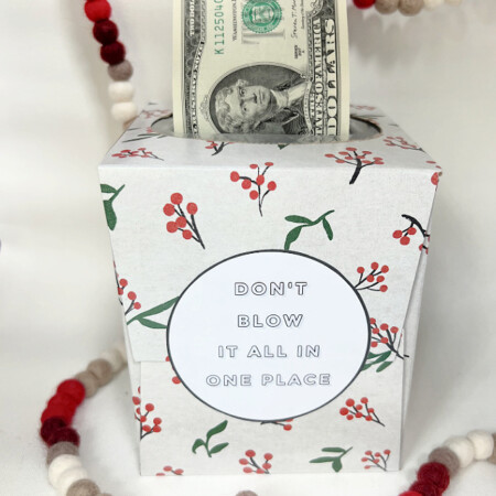 Tissue-box-money-gift-idea