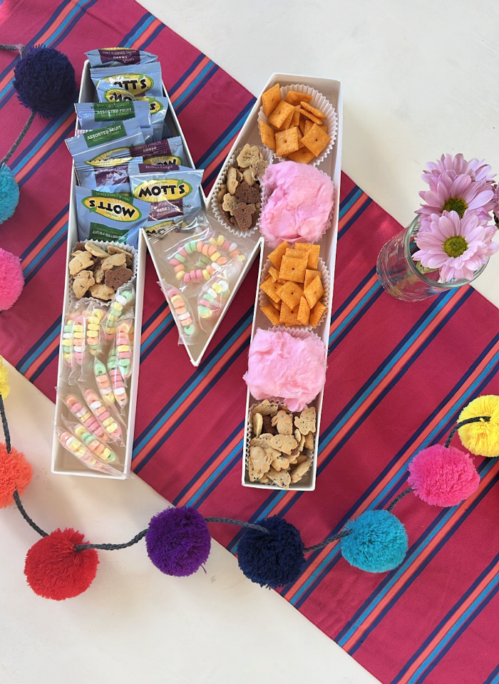 28 of the Most Creative Kid Birthday Party Themes - C.R.A.F.T.